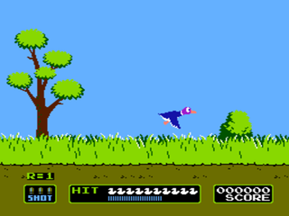 Duck Hunt